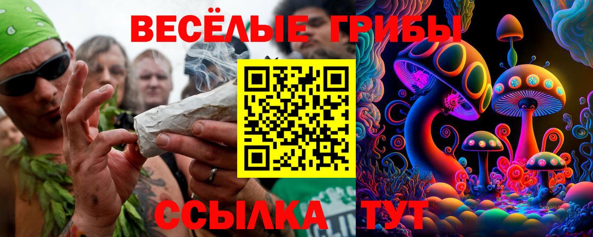 Чайковский  Галлюциногенные грибы Psilocybine cubensis  где купить   Вход с VPN 