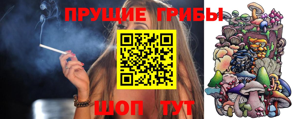 Галлюциногенные грибы мицелий Чайковский