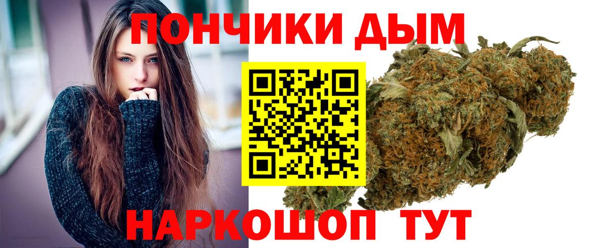 Конопля индика Чайковский
