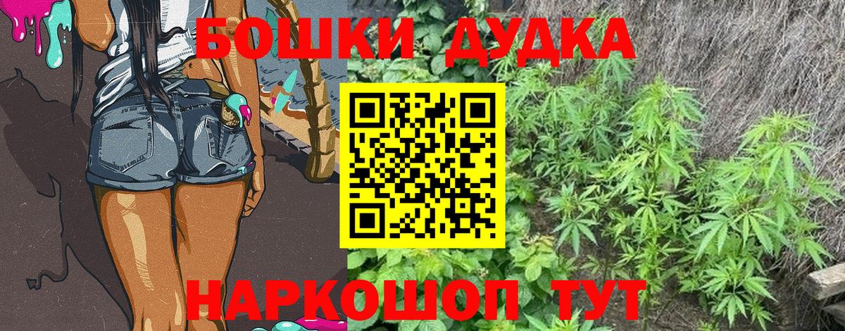 МАРИХУАНА Amnesia  Вход с VPN  Конопля сатива  Каннабис планчик  Чайковский  МАРИХУАНА тримм 
